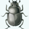 Bug Icon Image