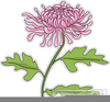 Lotus Flower Clipart Black White Image