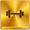 Barbell Icon Image