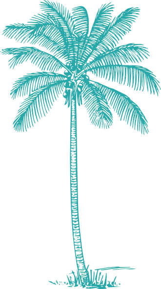 coconut tree clip art images - photo #37