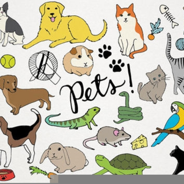 Clipart Pets Domestic Animals | Free Images at Clker.com - vector clip