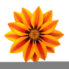 Image Fleur Clipart Image