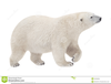Free Clipart Polar Bears Image