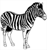 Free Zebra Print Background Clipart Image