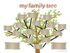 Blank Family Tree Clipart Image