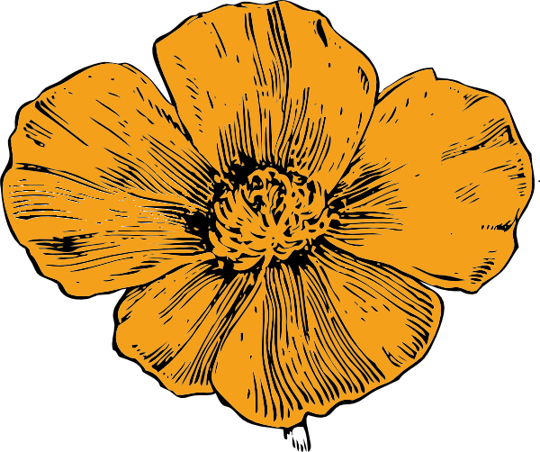 free poppy flower clip art - photo #33