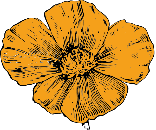 California Poppy clip art