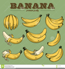 Monkey With Bananas Clipart Image