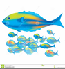 Fish And Wildlife Clipart Image