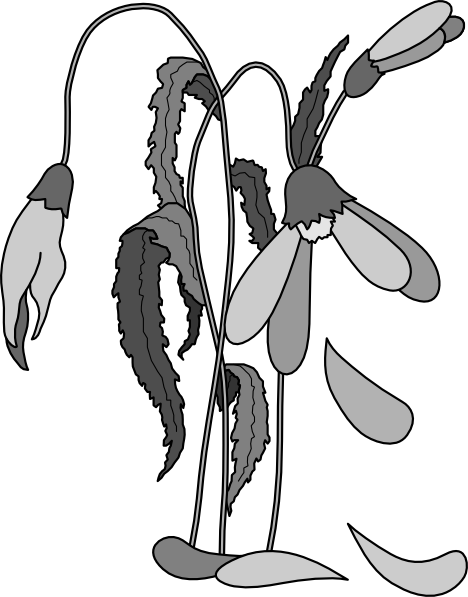 clipart dead flowers - photo #2