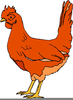 Images Of Chickens Clipart Image