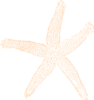 Single Starfish Orange Clip Art