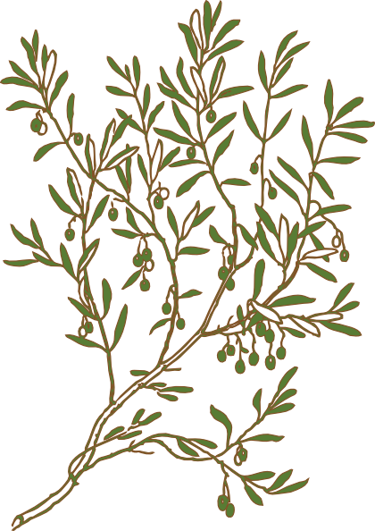 olive tree clip art images - photo #8