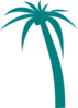 Teal Palm Tree Clip Art