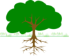 Tree Clip Art