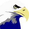 Bald Eagle Clip Art