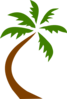 Palm Tree  Clip Art