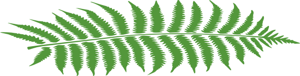 clip art fern leaf - photo #36