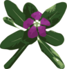 Flower 51 Clip Art