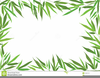 Bamboo Border Clipart Image