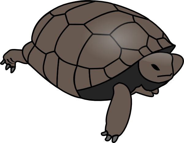 free turtle clipart pictures - photo #43