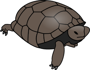 Turtle Clip Art