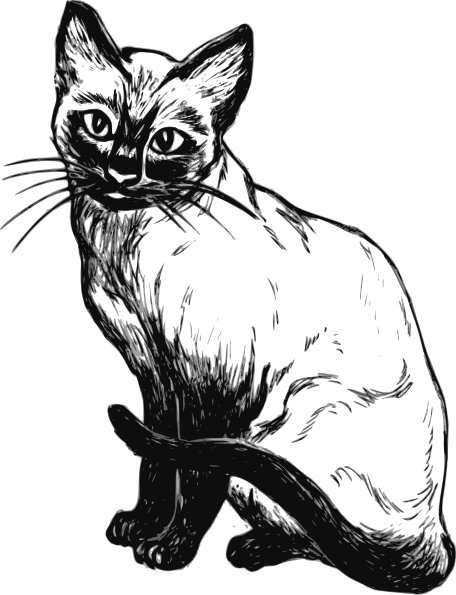 clip art line drawing of a cat - photo #6
