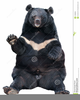Bear Sitting Clipart Image