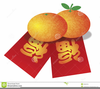 Mandarin Oranges Clipart Image