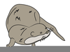 River Otter Clipart Image