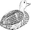 Duck Decoy Clip Art