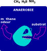 Anaerobic Degradation Clip Art