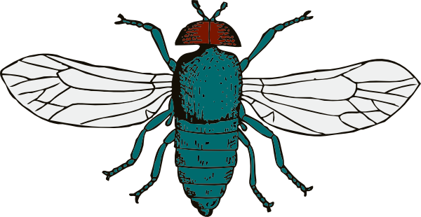 animated fly clipart - photo #21