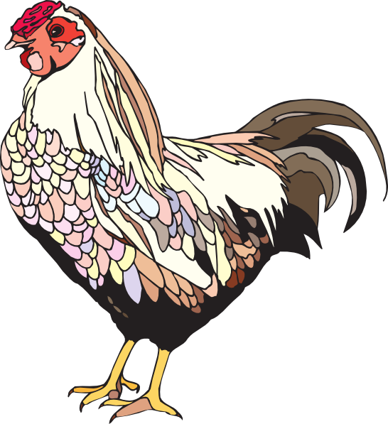 chicken clipart png - photo #22