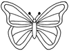 Butterfly Image