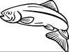 Clipart Of Salmon Image
