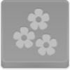 Free Disabled Button Flowers Image