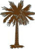 Sc Palmetto Tree Clip Art