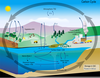 Free Life Science Biome Clipart Image