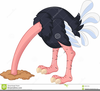 Free Clipart Ostrich Head Sand Image