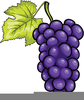 Purple Grapes Clipart Image