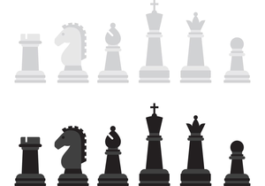 Complete set of chess pieces Royalty Free Vector Image