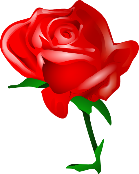 clipart rose rosse - photo #21