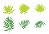 Palms Clipart Free Image
