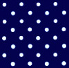 Blue Dots Polka White Image