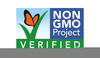 Non Gmo Logo Image