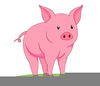 Pig Tail Clipart Image