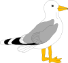 Bird Clip Art