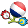 Euro 2012 Netherlands 256 Image