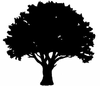 Free Clipart Oak Trees Image